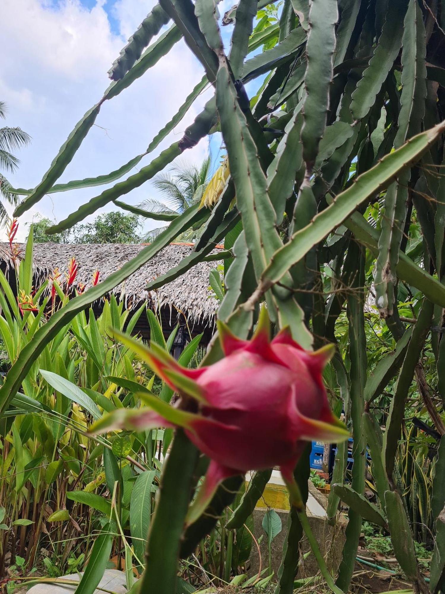 Nam Binh Homestay Ben Tre Exterior foto